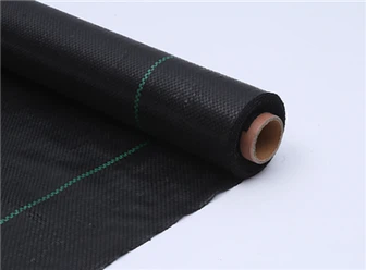 ল্যান্ডস্কেপ ম্যাট